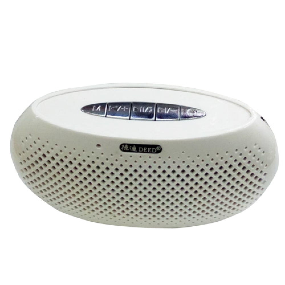 Rechargeable Bluetooth Speaker With Fm Radio,Memory Card&Flash Disk